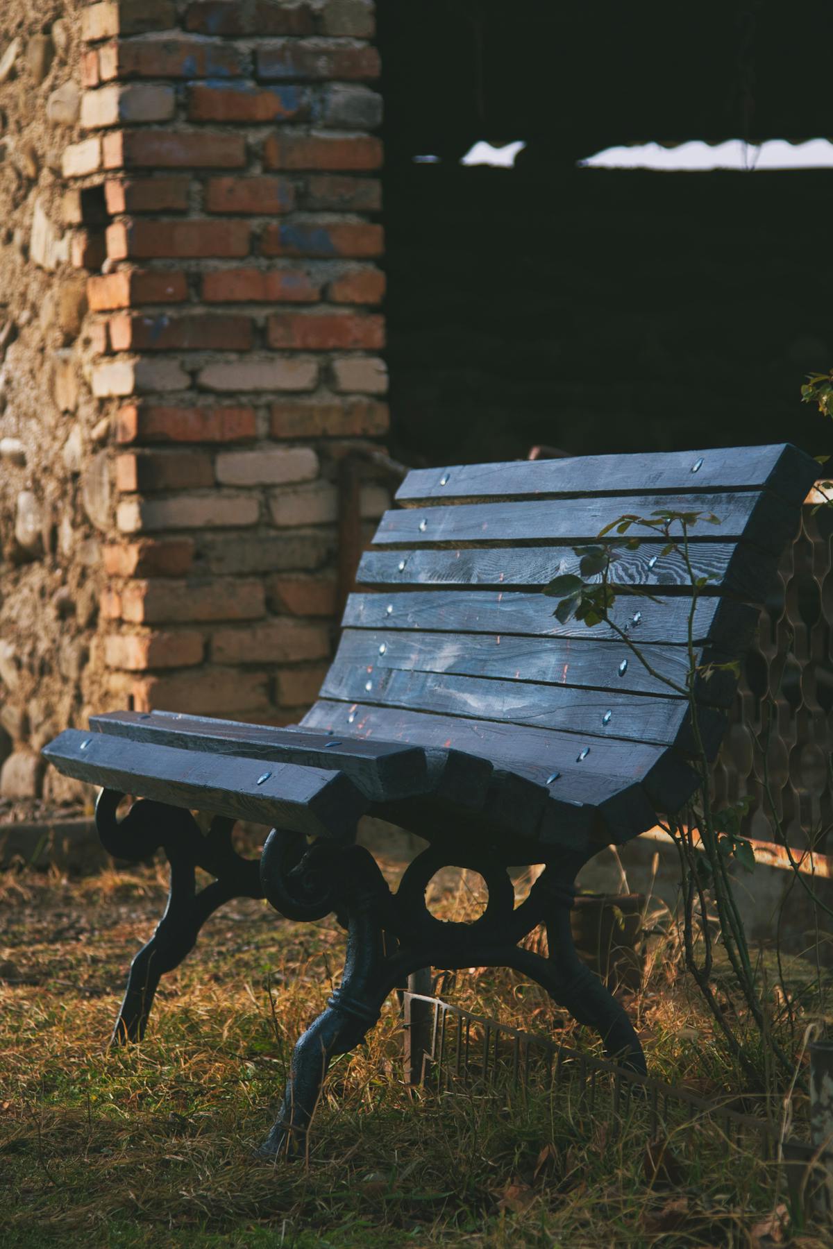 Jardin paysager à Nice