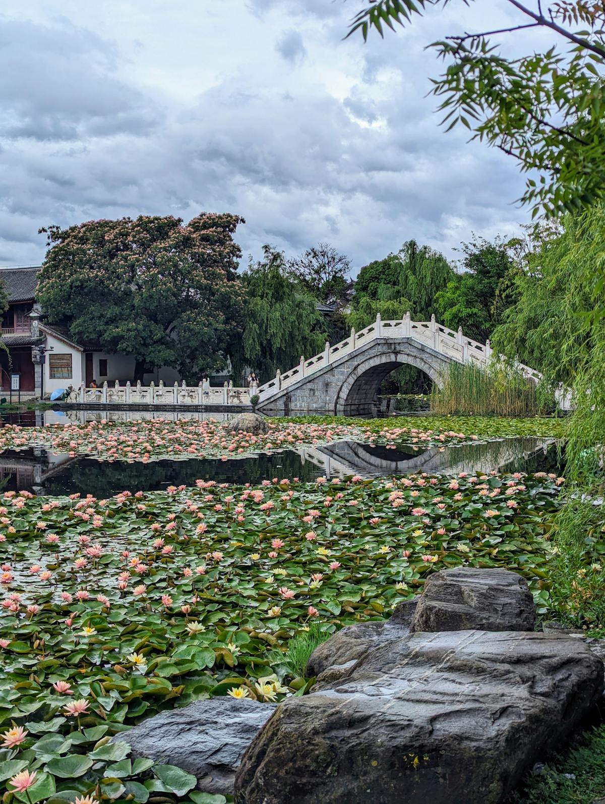 Jardin paysager à Nice par Les Jardins de Loeiz